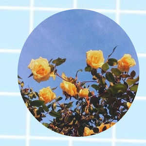 Meet your Posher, ・black_honey
